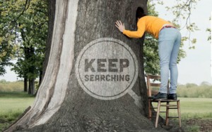 keep searching